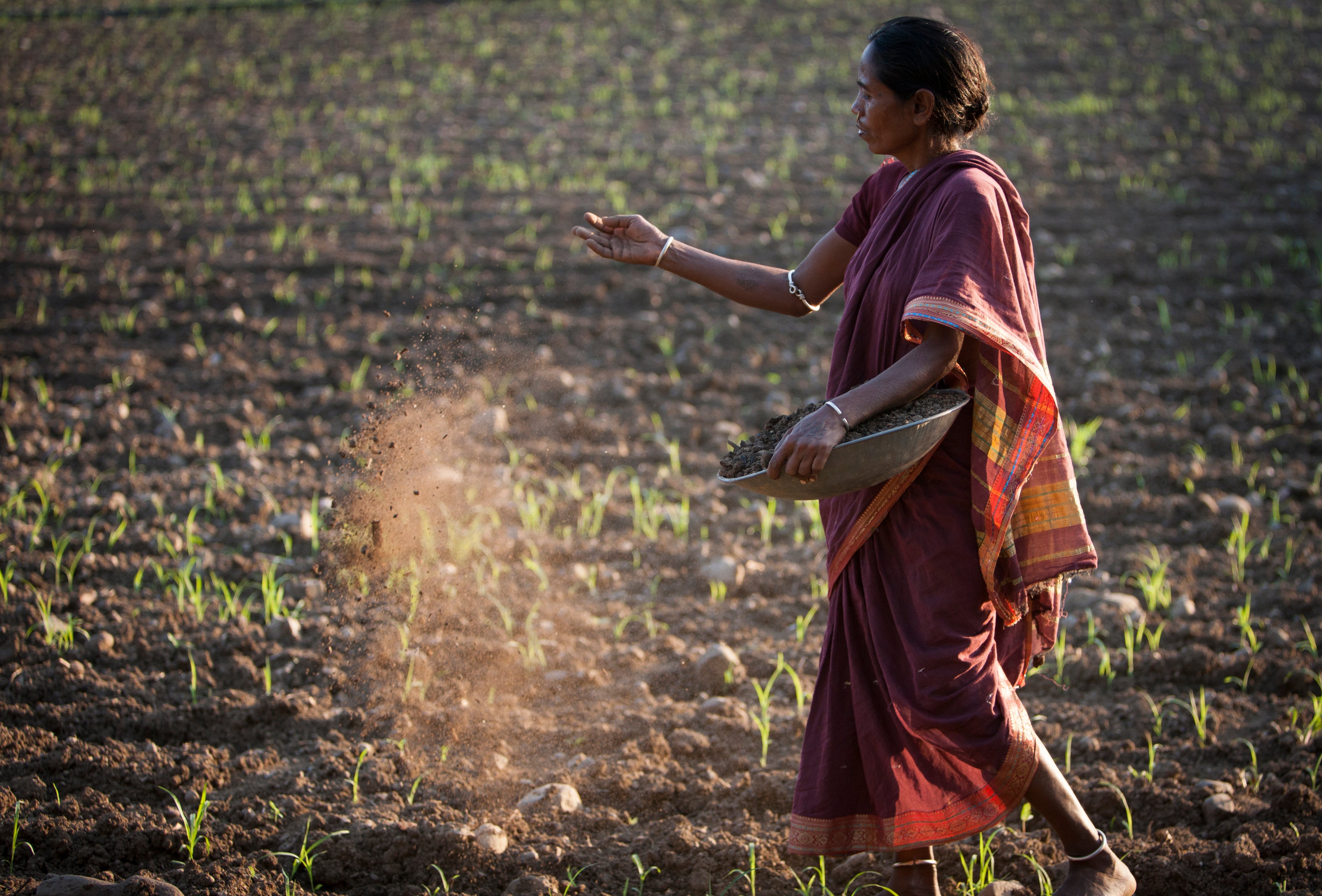 Chetna Organic Cotton
